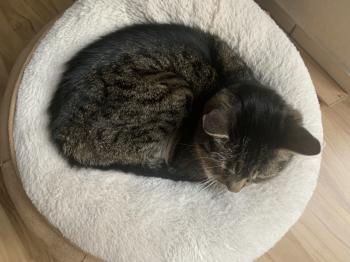 Paula Bild von Paula