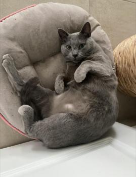 Sascha Bild von Sascha