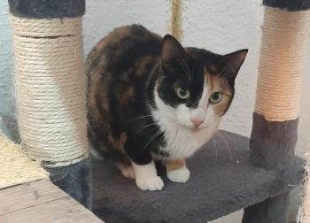 Loira Bild von Loira