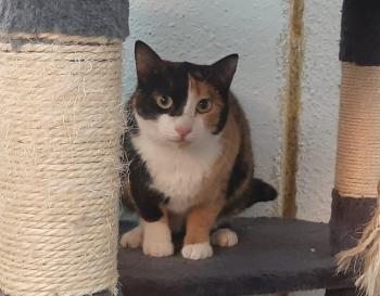 Loira Bild von Loira