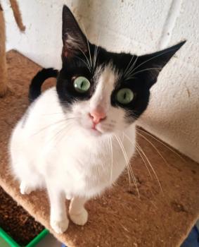 Amy Bild von Amy