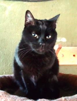 Flika Bild von Flika