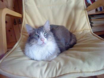 Chiqui Bild von Chiqui