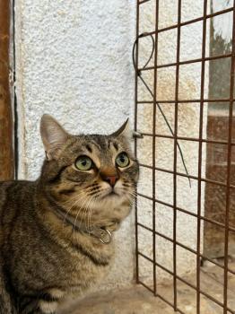 Nattan Bild von Nattan