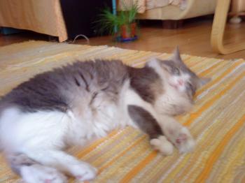 Chiqui Bild von Chiqui