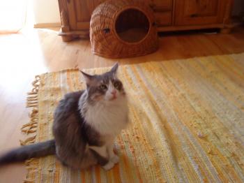 Chiqui Bild von Chiqui