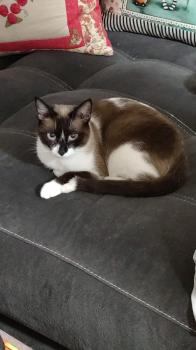 Elurra Bild von Elurra
