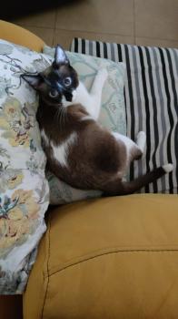Elurra Bild von Elurra