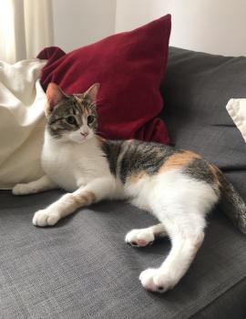 Tami Bild von Tami