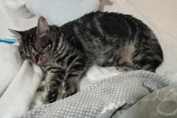 Umi Bild von Umi