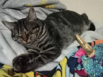 Umi Bild von Umi