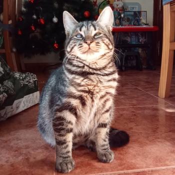 Umi Bild von Umi