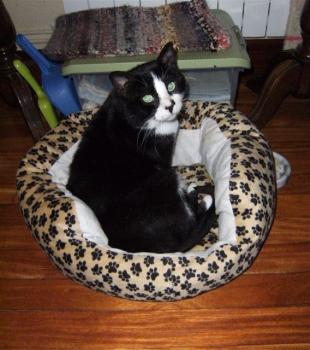 Rocky Bild von Rocky