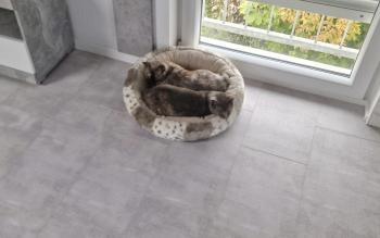 Agustina Bild von Agustina