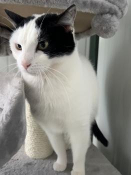 Wilma Bild von Wilma