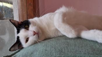 Wilma Bild von Wilma