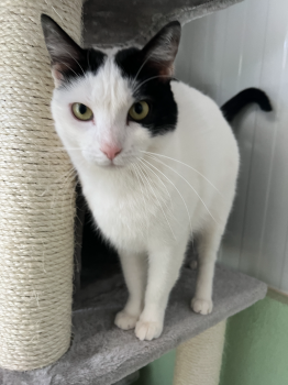 Wilma Bild von Wilma