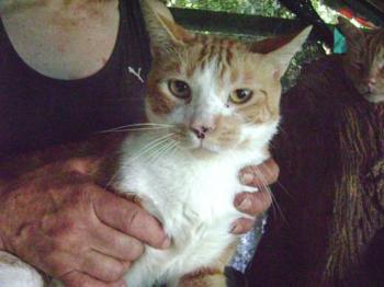 Rubi Bild von Rubi