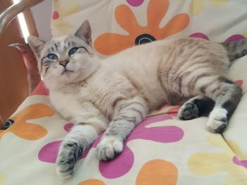 Pancho Bild von Pancho