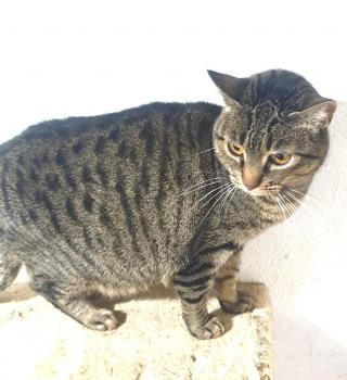 Naila Bild von Naila