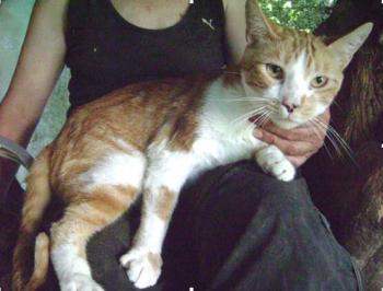 Rubi Bild von Rubi