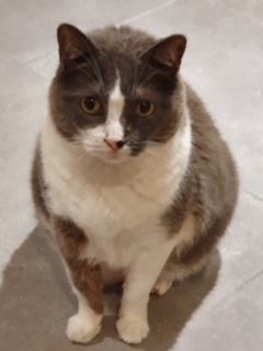 Nelja Bild von Nelja