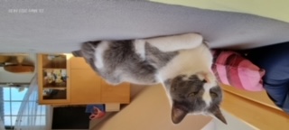 Nelja Bild von Nelja