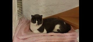 Nelja Bild von Nelja