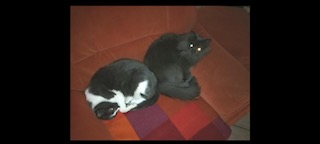 Nelja Bild von Nelja