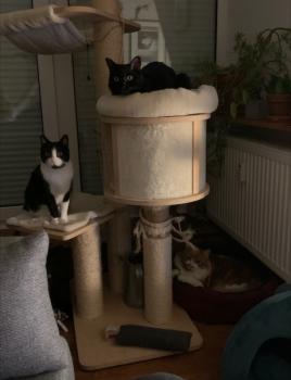 Cristinita Bild von Cristinita
