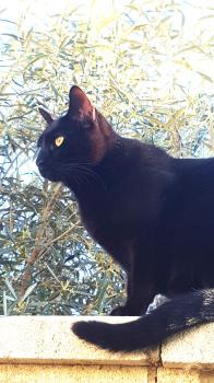 Magic Bild von Magic