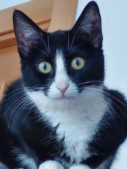 Pauline Bild von Pauline