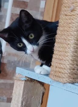 Pauline Bild von Pauline