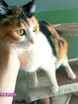 Rosalba Bild von Rosalba