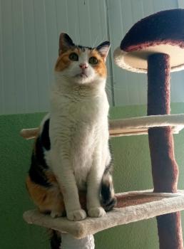 Rosalba Bild von Rosalba