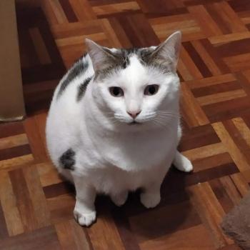 Lola Bild von Lola