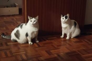 Lily Bild von Lily