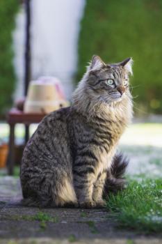 Fynn Bild von Fynn