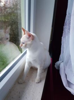 Yuki Bild von Yuki