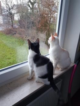 Yuki Bild von Yuki