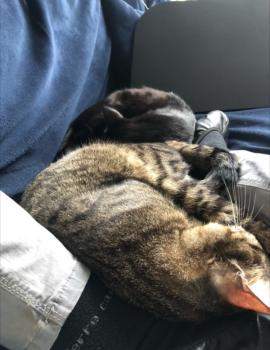 Morty Bild von Morty