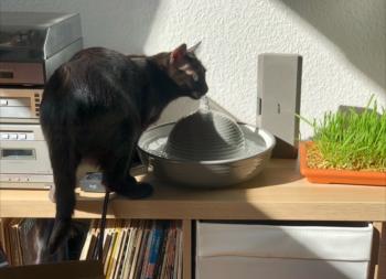 Morty Bild von Morty