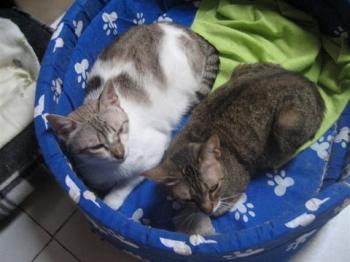Vita und Timi Bild von Vita