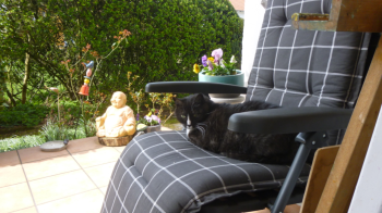 Susi Bild von Susi
