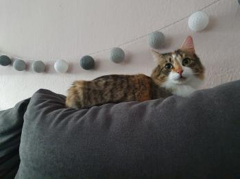 Olivia Bild von Olivia