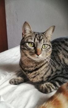 Ray Bild von Ray