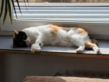 Loulou Bild von Loulou