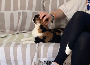 Luisa Bild von Luisa