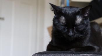 Morty Bild von Morty