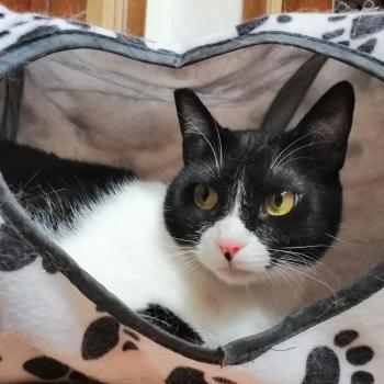 Magui Bild von Magui